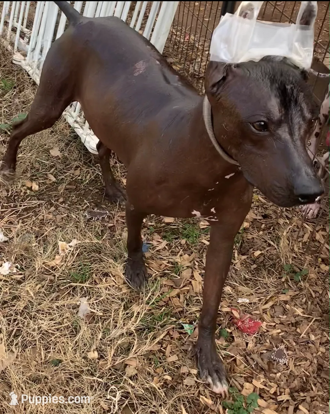 processed/126bd533-4207-4de9-8bc4-d448b8be0752/listing/c6178189-5bc4-4792-9661-590afd9ec32c/ff225b8a-f191-4b87-b7f4-e4ffdb1308af