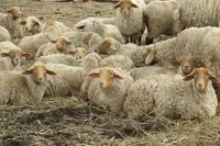 processed/12751cd4-d18d-4e85-b7b3-bf24d9685f64/facility/0f3ac6af-fcef-41e5-b9de-8721c1f278a1