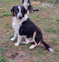 processed/12765702-90c5-4c5d-85ba-7e0cfb8a6069/listing/5a73ecab-39d3-4dec-af8f-8945d61ba3e3/228a721d-f01e-4a1d-8ceb-6dce3950459d