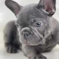 processed/127d2e9b-1f41-4db8-a19b-c5c96868ba90/facility/b3ad6d58-8787-4e60-9b81-cb2e49829663