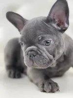 processed/127d2e9b-1f41-4db8-a19b-c5c96868ba90/facility/b3ad6d58-8787-4e60-9b81-cb2e49829663