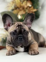 processed/127d2e9b-1f41-4db8-a19b-c5c96868ba90/listing/41847c5d-62e4-40c3-83b6-684ad3a64238/61a9834f-4636-4db8-8509-c5d96efc184d