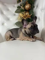 processed/127d2e9b-1f41-4db8-a19b-c5c96868ba90/listing/41847c5d-62e4-40c3-83b6-684ad3a64238/84ea6183-429c-4b45-bdcc-3277adb9e093