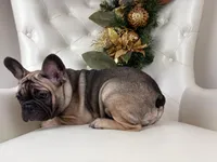 processed/127d2e9b-1f41-4db8-a19b-c5c96868ba90/listing/41847c5d-62e4-40c3-83b6-684ad3a64238/904a2877-781d-4165-b52a-52f274ead5b4