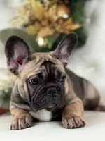 processed/127d2e9b-1f41-4db8-a19b-c5c96868ba90/listing/41847c5d-62e4-40c3-83b6-684ad3a64238/df0e2c09-5aaf-42c1-aa44-934bf2cd1eb7