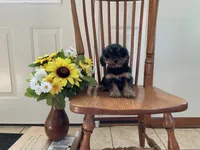 processed/127f1968-ba94-4b62-bf13-13148ac62e2f/listing/0b92b524-6f48-42da-a1ff-18f8fa6fc353/0fcae64f-4c19-46ff-a909-52e7690b87a7