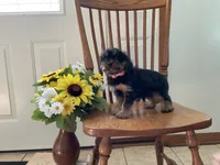 processed/127f1968-ba94-4b62-bf13-13148ac62e2f/listing/0b92b524-6f48-42da-a1ff-18f8fa6fc353/ca53c989-f656-40e9-a10a-6b8034e28e84