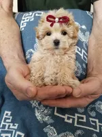 processed/129eb206-1070-4094-82af-c7039e00587c/listing/0b958152-e1fe-4ce5-a5b4-f734f78a2909/0f279703-0e98-48b7-9d19-dc165acf38f4