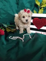 processed/129eb206-1070-4094-82af-c7039e00587c/listing/0b958152-e1fe-4ce5-a5b4-f734f78a2909/257f757f-4311-458d-9ae3-5126924ca3bc