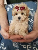 processed/129eb206-1070-4094-82af-c7039e00587c/listing/0b958152-e1fe-4ce5-a5b4-f734f78a2909/55c0c70e-8cbc-42d6-8412-76093899ee26