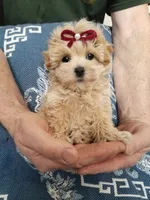 processed/129eb206-1070-4094-82af-c7039e00587c/listing/0b958152-e1fe-4ce5-a5b4-f734f78a2909/620bb578-15fb-496d-b80d-494940f66670