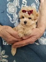 processed/129eb206-1070-4094-82af-c7039e00587c/listing/0b958152-e1fe-4ce5-a5b4-f734f78a2909/843fb91d-6dad-4b83-9928-723c4de76cdf