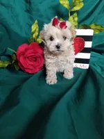 processed/129eb206-1070-4094-82af-c7039e00587c/listing/0b958152-e1fe-4ce5-a5b4-f734f78a2909/886860bb-00a2-4a5b-88ac-6335860c8b8a