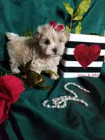 processed/129eb206-1070-4094-82af-c7039e00587c/listing/0b958152-e1fe-4ce5-a5b4-f734f78a2909/8c38c346-27e9-412f-95e6-e5800eb698b5