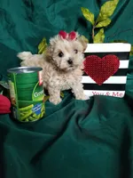 processed/129eb206-1070-4094-82af-c7039e00587c/listing/0b958152-e1fe-4ce5-a5b4-f734f78a2909/b9dbb537-89ec-49dc-bbeb-76007031f5e1