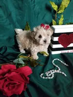 processed/129eb206-1070-4094-82af-c7039e00587c/listing/0b958152-e1fe-4ce5-a5b4-f734f78a2909/fbe6a6d6-c0a5-4612-b687-3e61204991c0