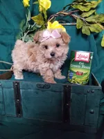 processed/129eb206-1070-4094-82af-c7039e00587c/listing/3ad247b9-c166-4b47-8251-f87292edbade/13fb18f6-5d00-4c06-82a4-f2d3f536c84e