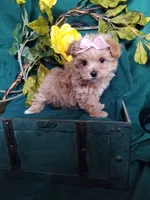 processed/129eb206-1070-4094-82af-c7039e00587c/listing/3ad247b9-c166-4b47-8251-f87292edbade/16f301da-18f2-45cb-bd57-dda0549c6bbe