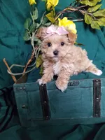 processed/129eb206-1070-4094-82af-c7039e00587c/listing/3ad247b9-c166-4b47-8251-f87292edbade/1d0c0430-13f9-4d8a-851a-d25ef502b632