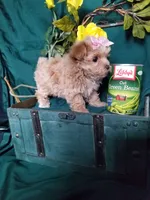 processed/129eb206-1070-4094-82af-c7039e00587c/listing/3ad247b9-c166-4b47-8251-f87292edbade/7c67b3ba-71f5-4603-8ca3-e74767d3ab32