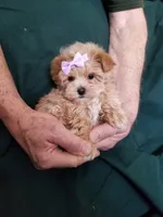 processed/129eb206-1070-4094-82af-c7039e00587c/listing/3ad247b9-c166-4b47-8251-f87292edbade/802690fe-e8fb-4572-b182-48d6bcc12d32