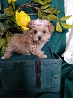 processed/129eb206-1070-4094-82af-c7039e00587c/listing/3ad247b9-c166-4b47-8251-f87292edbade/b7a9c211-1839-4cf8-b4ee-fe30fa2a26e4