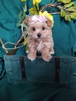 processed/129eb206-1070-4094-82af-c7039e00587c/listing/3ad247b9-c166-4b47-8251-f87292edbade/c04db5c5-374c-4d13-8ae4-18310765d69c