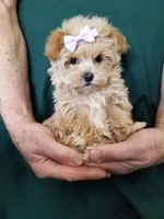 processed/129eb206-1070-4094-82af-c7039e00587c/listing/3ad247b9-c166-4b47-8251-f87292edbade/c4eca10a-4541-42fe-8285-54ffd71afa1e