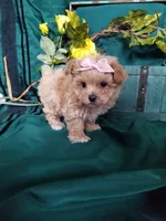 processed/129eb206-1070-4094-82af-c7039e00587c/listing/3ad247b9-c166-4b47-8251-f87292edbade/d3f971a2-f13b-4354-b375-1dcb9dc24c08