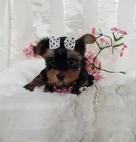 processed/129eb206-1070-4094-82af-c7039e00587c/listing/7f838eff-148e-4de5-88d9-a451fdd48aaa/20dc4715-4239-4178-83b2-77724eac381a