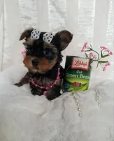 processed/129eb206-1070-4094-82af-c7039e00587c/listing/7f838eff-148e-4de5-88d9-a451fdd48aaa/29be10cd-8851-4d03-a378-205f77552b0b