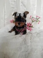 processed/129eb206-1070-4094-82af-c7039e00587c/listing/7f838eff-148e-4de5-88d9-a451fdd48aaa/622f5b8a-f59f-428f-b001-3cc8f33679cc