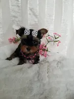 processed/129eb206-1070-4094-82af-c7039e00587c/listing/7f838eff-148e-4de5-88d9-a451fdd48aaa/66cb46f4-f6cc-4942-ba44-aa59fee37787