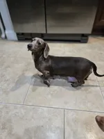 processed/12a59680-e71d-4619-854f-430c1cd4703e/listing/69b41658-564d-4a7c-a230-40be09adaf51/2b510a74-87f3-4019-9263-7b7b09af31b1