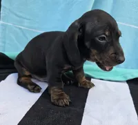 processed/12a59680-e71d-4619-854f-430c1cd4703e/listing/69b41658-564d-4a7c-a230-40be09adaf51/4c818a91-5b78-455a-a8db-a4c30a56e43b