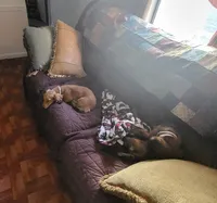 Facility photo