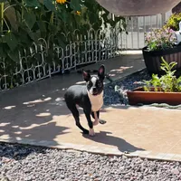 processed/12c87e7b-cb86-46de-b201-35078f817aa2/facility/72f51f7c-9e14-4d9d-b26b-d9cdfc8e7f2a