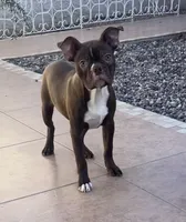 processed/12c87e7b-cb86-46de-b201-35078f817aa2/listing/43360829-4df5-477c-a696-35c37806d9dc/4a4d208e-06b2-4aa0-9059-87da80a4ad7a