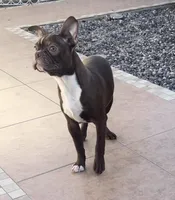 processed/12c87e7b-cb86-46de-b201-35078f817aa2/listing/43360829-4df5-477c-a696-35c37806d9dc/ab5f1cea-7c85-4d6a-9946-c15b61d438a3