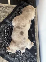 processed/12c906f2-fbd0-4217-a86b-fa322804c559/listing/2c3498a5-ee51-4a74-87a3-ba1de1e35eec/95d94505-e674-4286-bdc4-d8670804ebe4