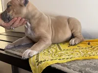 processed/12c906f2-fbd0-4217-a86b-fa322804c559/listing/cdea2ab9-5b6f-496f-9cff-506681ad3f87/ba3ff399-851a-452b-b2dc-22c93b0a8450