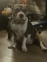 processed/12c906f2-fbd0-4217-a86b-fa322804c559/listing/cdea2ab9-5b6f-496f-9cff-506681ad3f87/f9eb3f2f-b6d7-426f-bd3c-5785b009a36e