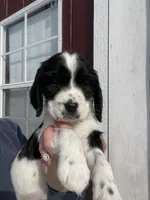 processed/12c906f2-fbd0-4217-a86b-fa322804c559/listing/e3464508-51ea-4efb-b673-ffe108c828fb/253a0c9b-ecc0-4885-b232-1d084ae4aa77