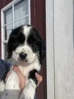 processed/12c906f2-fbd0-4217-a86b-fa322804c559/listing/e3464508-51ea-4efb-b673-ffe108c828fb/5da81243-52e2-414e-a7bc-e261f514740c