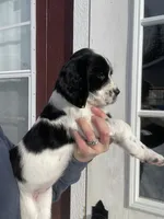 processed/12c906f2-fbd0-4217-a86b-fa322804c559/listing/e3464508-51ea-4efb-b673-ffe108c828fb/efdc47df-cd26-459d-8830-fb19538f7aa9