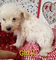 processed/12d9575c-9a01-47b8-bea0-f93ae55b31fc/listing/4c47e944-5b2f-4854-b5e6-f28377d86ece/6a436c45-2695-4cd8-a33a-142223e23659