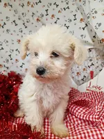 processed/12d9575c-9a01-47b8-bea0-f93ae55b31fc/listing/4c47e944-5b2f-4854-b5e6-f28377d86ece/7f207bf7-3398-4f8f-8f12-2c97f43a4139