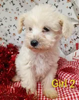 processed/12d9575c-9a01-47b8-bea0-f93ae55b31fc/listing/4c47e944-5b2f-4854-b5e6-f28377d86ece/cab3f7d2-96c2-488e-8b70-4abbf4f2a4d7