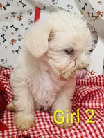 processed/12d9575c-9a01-47b8-bea0-f93ae55b31fc/listing/4c47e944-5b2f-4854-b5e6-f28377d86ece/f3d05ab3-e281-4ea1-8b2c-45cc2b357bcb