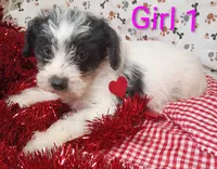 processed/12d9575c-9a01-47b8-bea0-f93ae55b31fc/listing/6ca1d79c-d15e-44fc-a280-86a6b2dfe3bc/09434ec3-8726-4cca-a796-86df6a6aa605